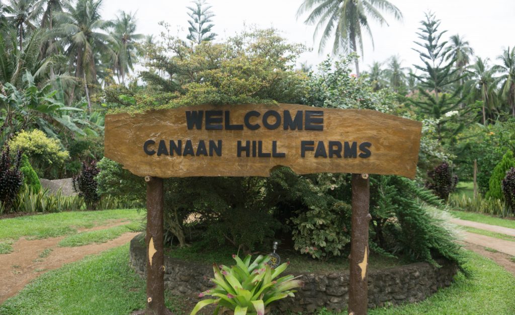 Canaan Hill Farms - Biliran Province